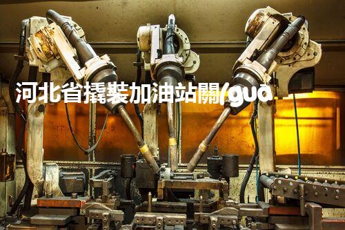 河北省撬裝加油站關(guān)鍵技術(shù)突破！化工廠拆除工程的新方法探索？